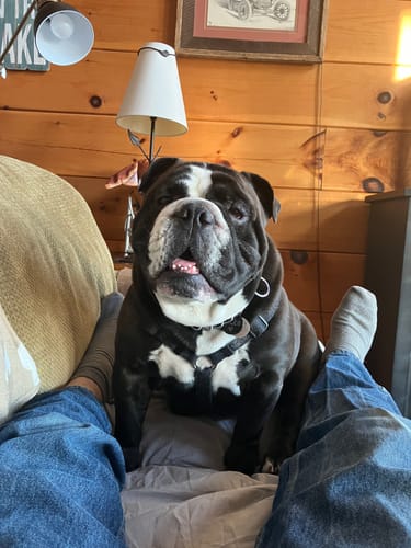 John B. review of Dental Pod image 1 out of 1