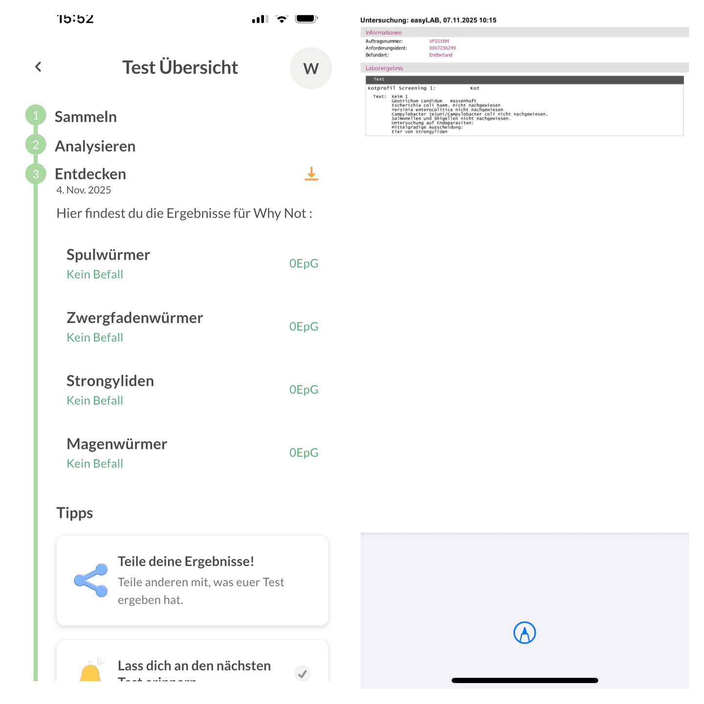 Customer photo review of Wurmtest Pro Pferd