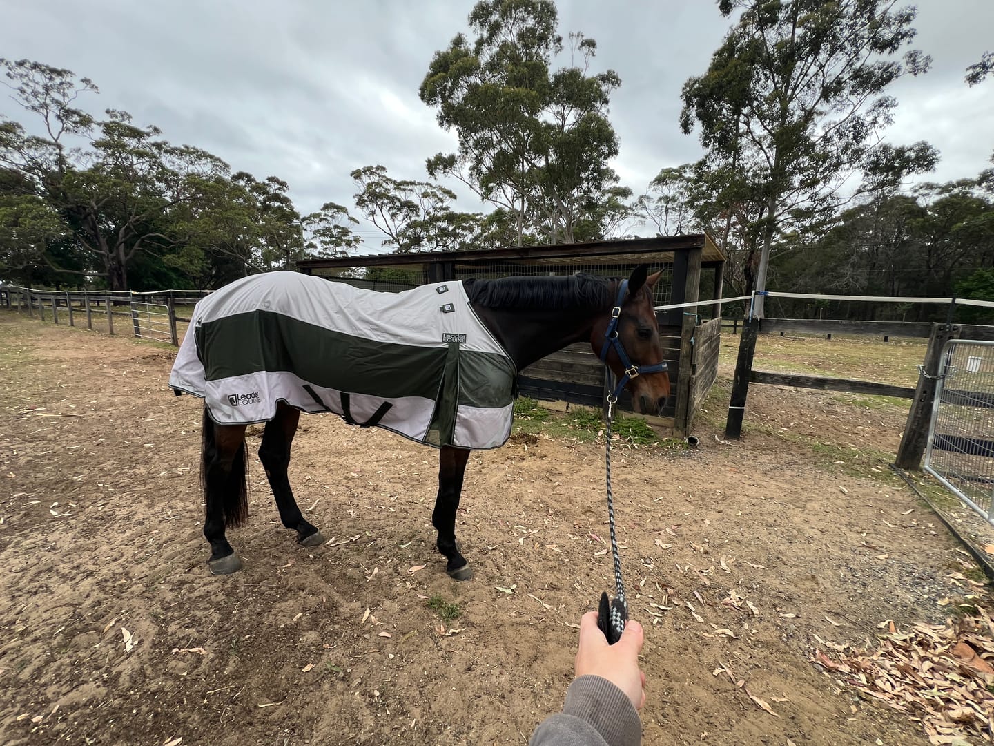 Customer photo review of LE Boxter Hybrid Mack Turnout 0g