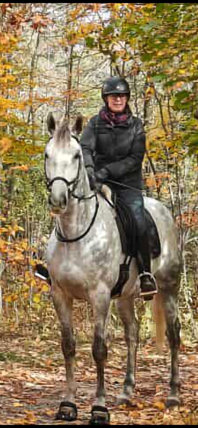 Customer photo review of Renegade® Viper Shield™ Hoof Boot - Black Knight