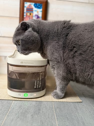 Customer photo review of Wireless Weight-Sensing Pet Fountain
