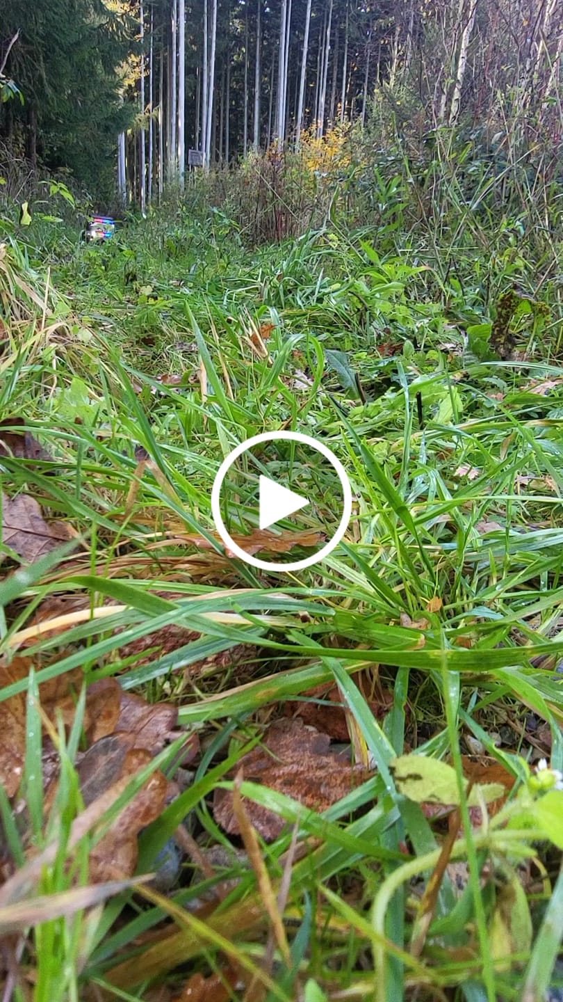 Customer video review of 1/7 Scale 4WD Brushless RTR RC Crawler MK-07