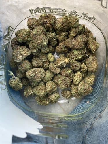 Customer photo review of THCa Indoor Smalls