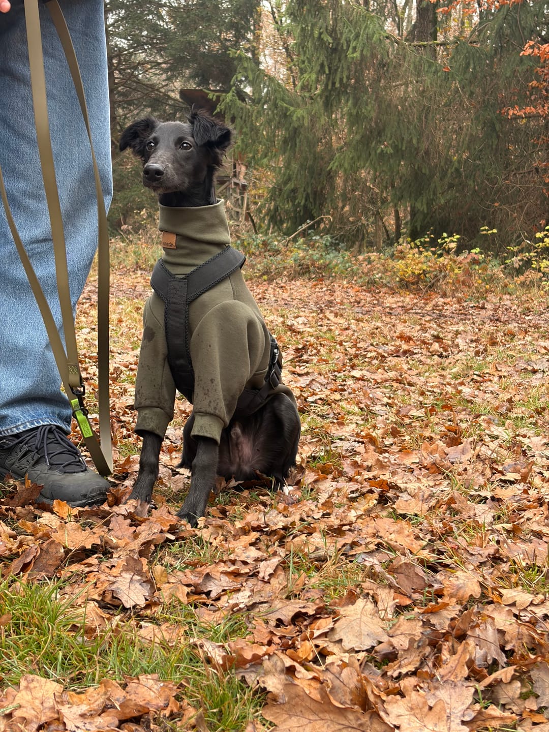 Customer photo review of Aspen "Mountain Green"