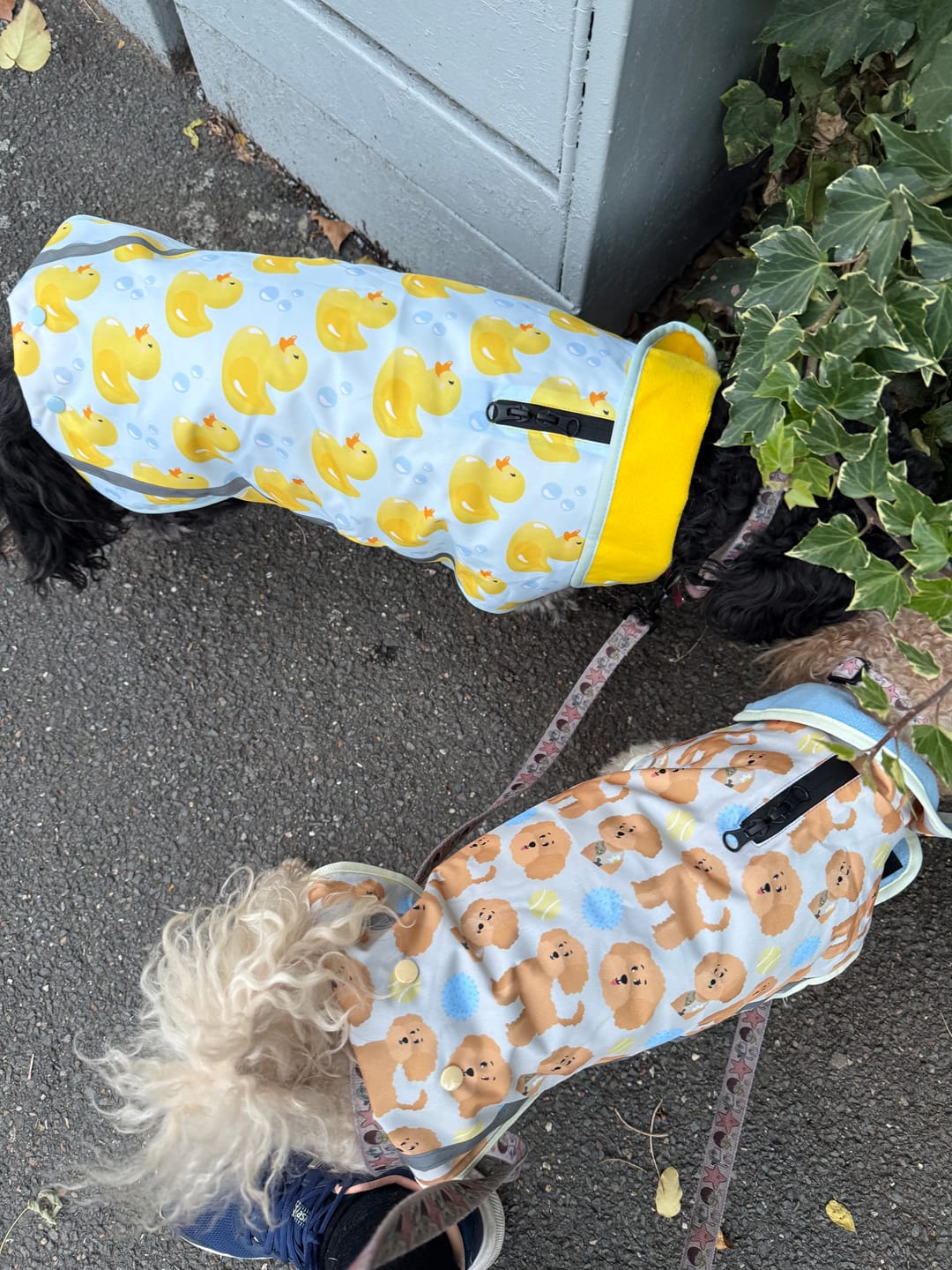 Customer photo review of Rain Jacket - You Quack Me Up!