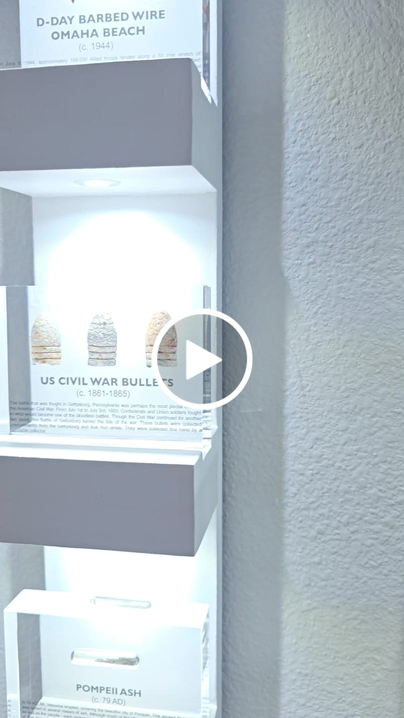 Customer video review of Personal Museum Subscription