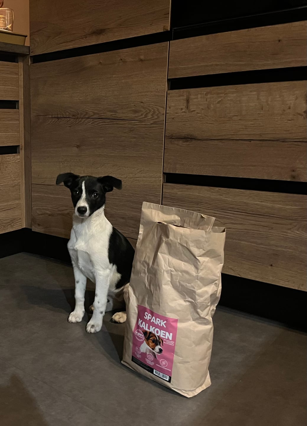 Customer photo review of Puppy - Klein - Kalkoen met Eend, Aardappel, Dille & Kamille