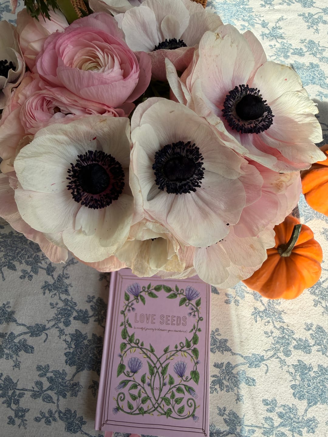 Customer photo review of White and Black Anemone