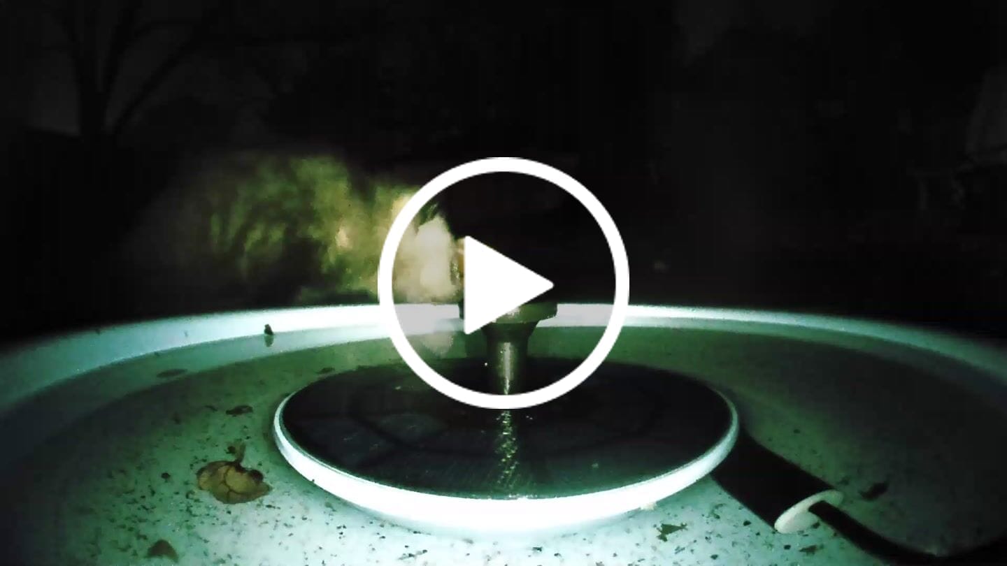 Customer video review of Birdfy Bath Pro - Solar-Powered Smart Birdbath with Fountain