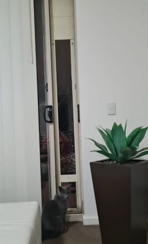 Customer photo review of Extension piece