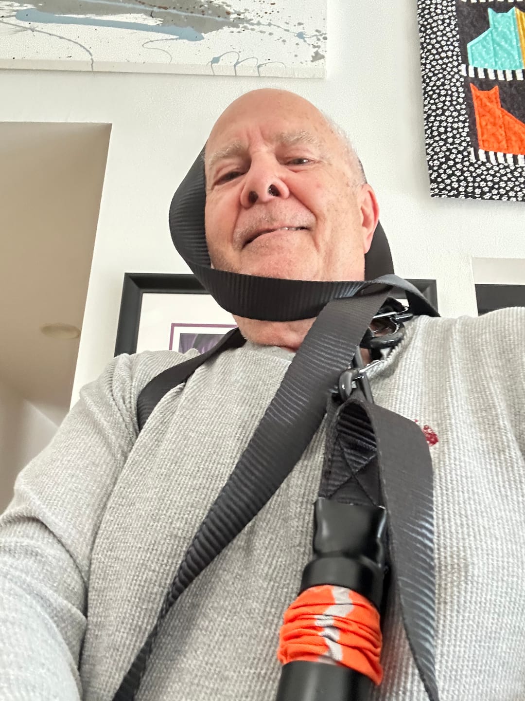 Customer photo review of TorkStrap HD750 | 14'x1.5'' Spring Loaded Tie Down Straps - Adapts to Load Shifts - Heavy Duty 2250lbs Max Load - Just Pull Alternative to Ratchet Straps w/Hooks - Secure Motorcycles, Kayaks