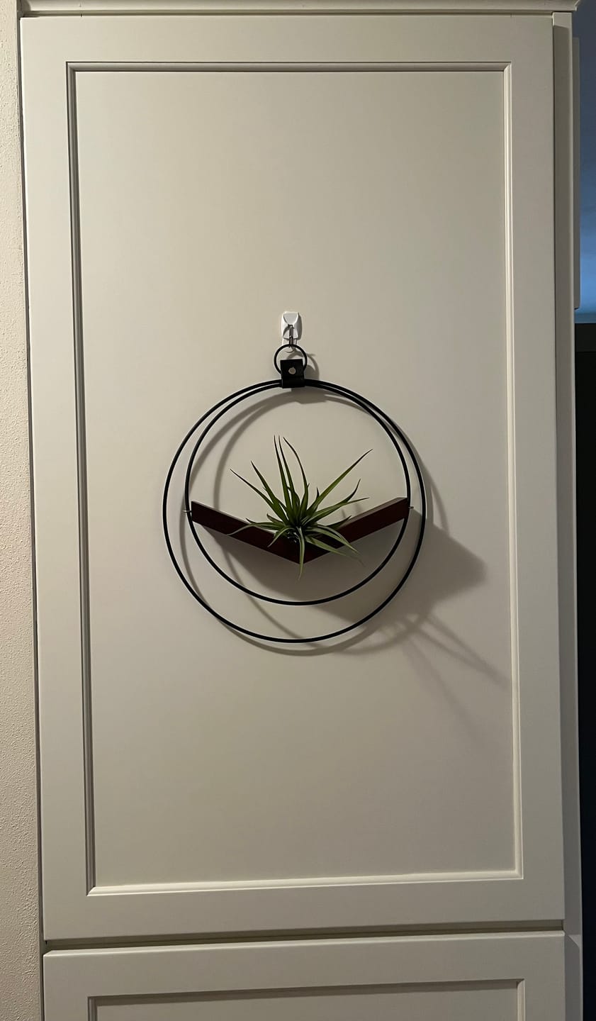 Customer photo review of Air Plant V-Hanger