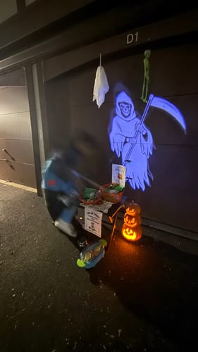 Customer photo review of Dog Costume (Marshall)