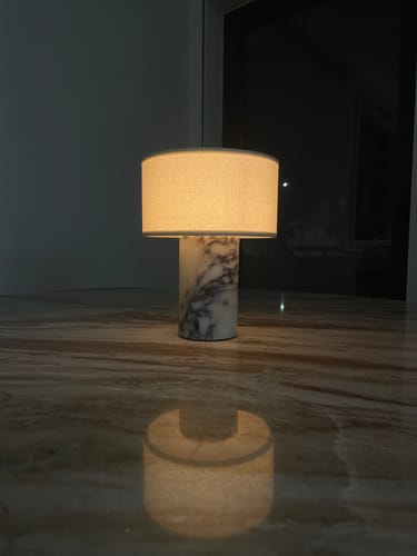 Daniel M. review of Auríe Portable Lamp image 1 out of 1