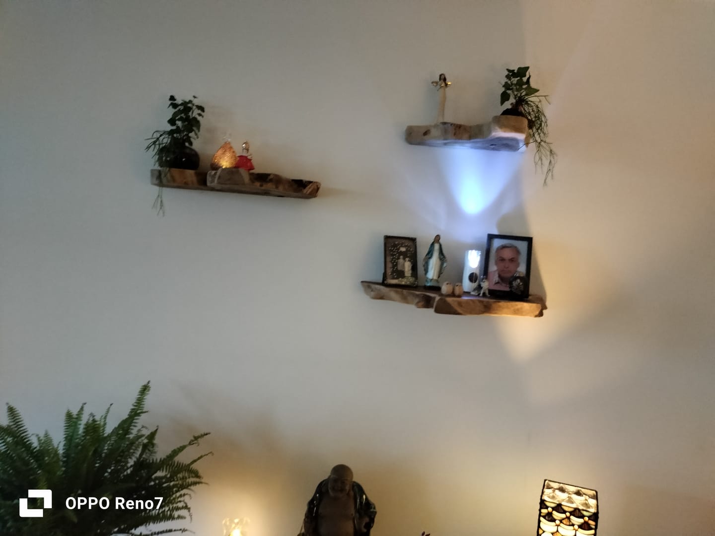 Customer photo review of Wandplank set van 3 Boomstam Nature | zwevend