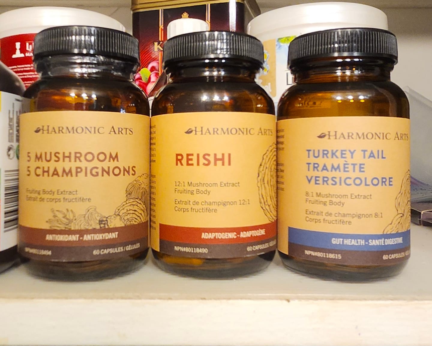 Customer photo review of Reishi Mushroom Capsules