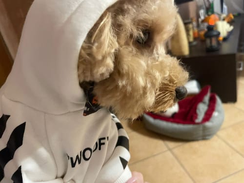 Customer photo review of Felpa "woof" Bianca Personalizzabile con nome