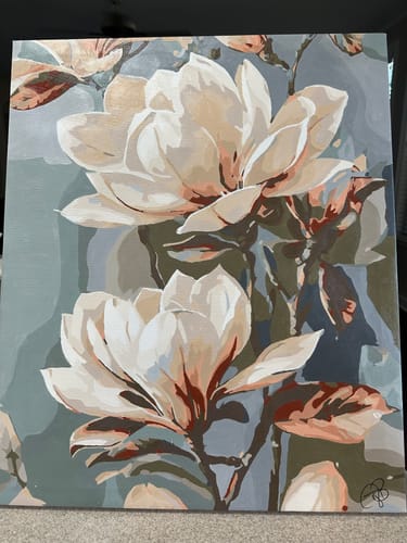 Customer photo review of Petal Cloud Drift