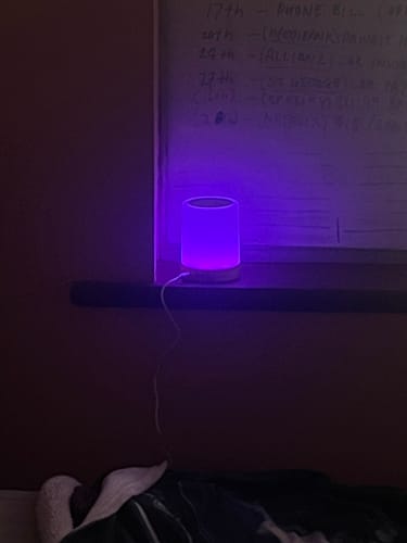 Customer photo review of Friendship Lamp