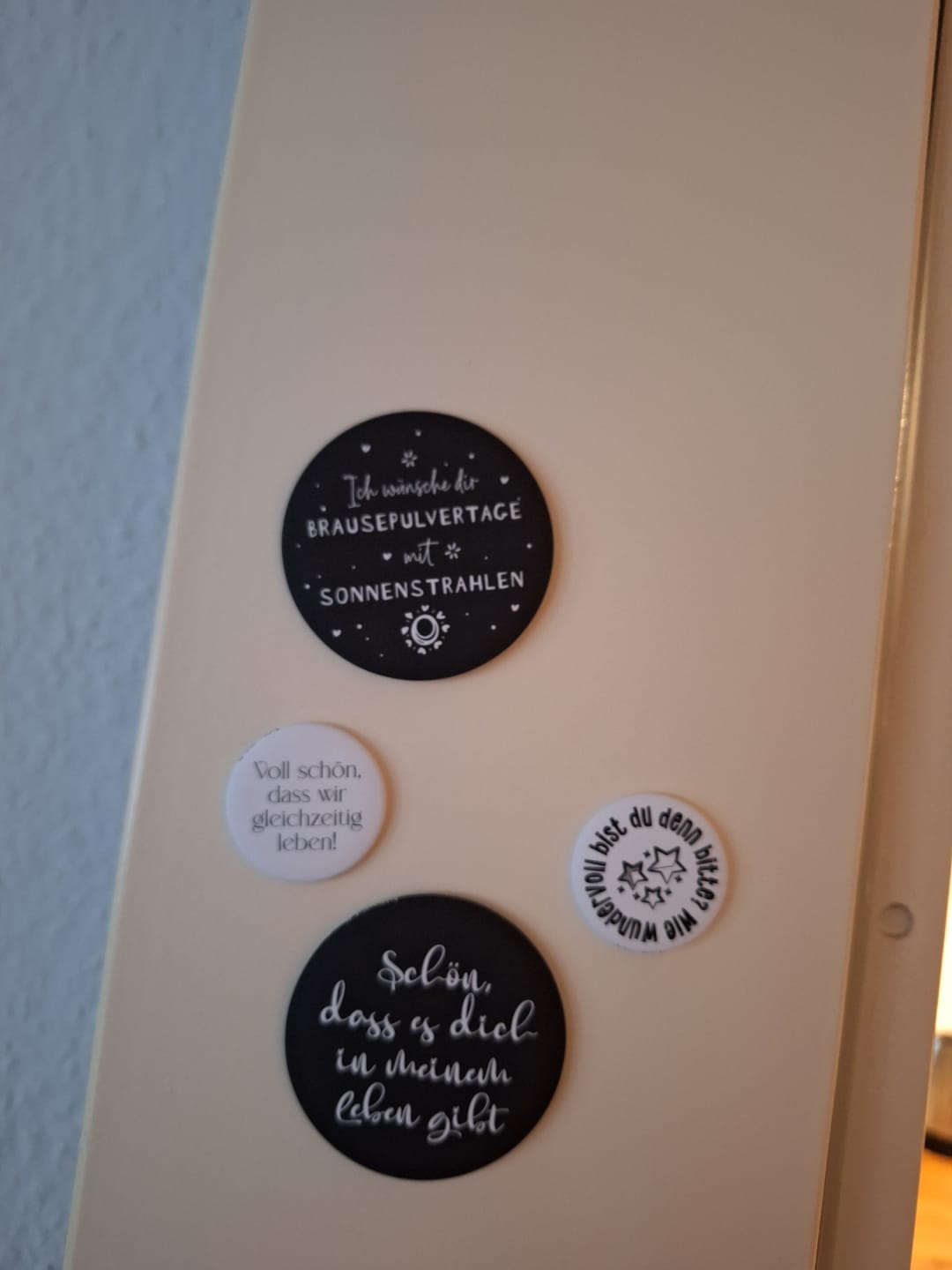 Customer photo review of Gleichzeitig leben · Magnet · klein