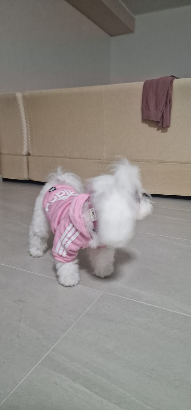 Customer photo review of Felpa "Adidog" Rosa Personalizzabile con nome