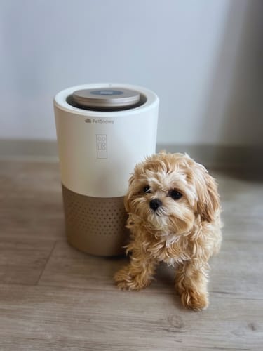 Customer photo review of Pet Air Purifier