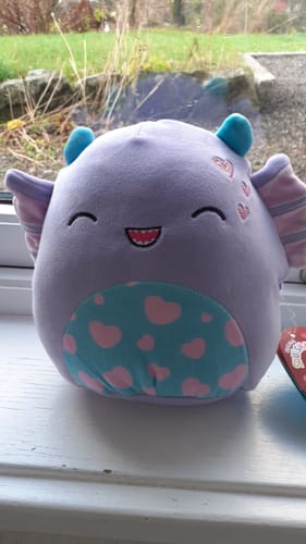 Customer photo review of Squishmallows 19cm Heart Collection  – Velg variant