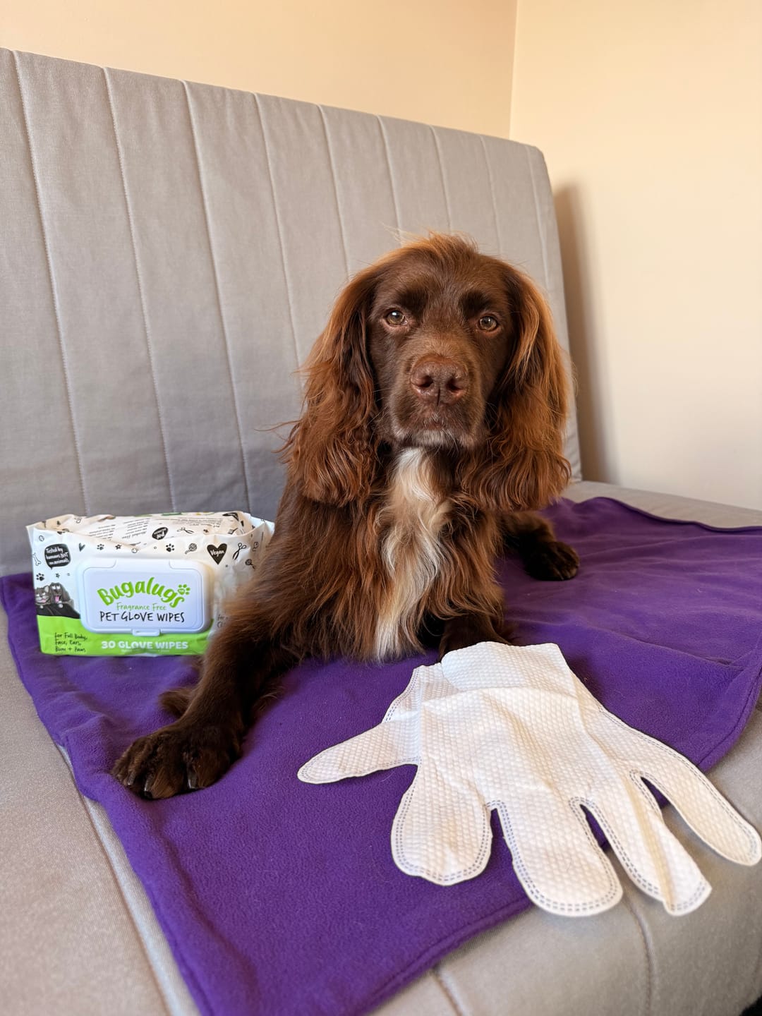 Customer photo review of Glove Pet Wipes for Full Body, Bum & Paws