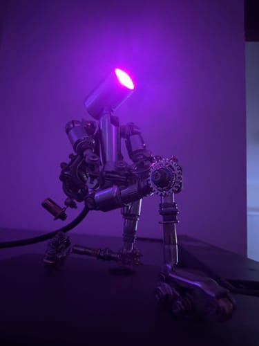 Customer photo review of Terminator M