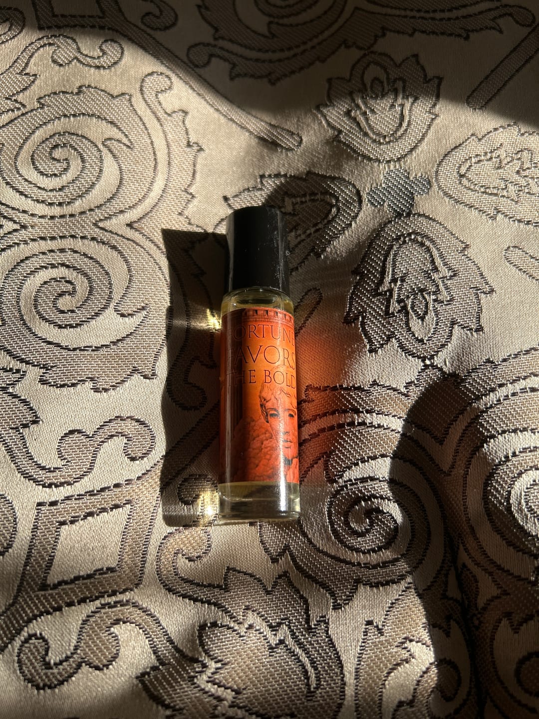 Customer photo review of Fortune Favors The Bold
