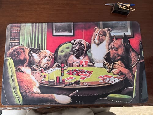 Customer photo review of Custom Playmat (24" x 14")