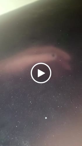 Customer video review of LILITH "The Dark Mother" Bath Potion