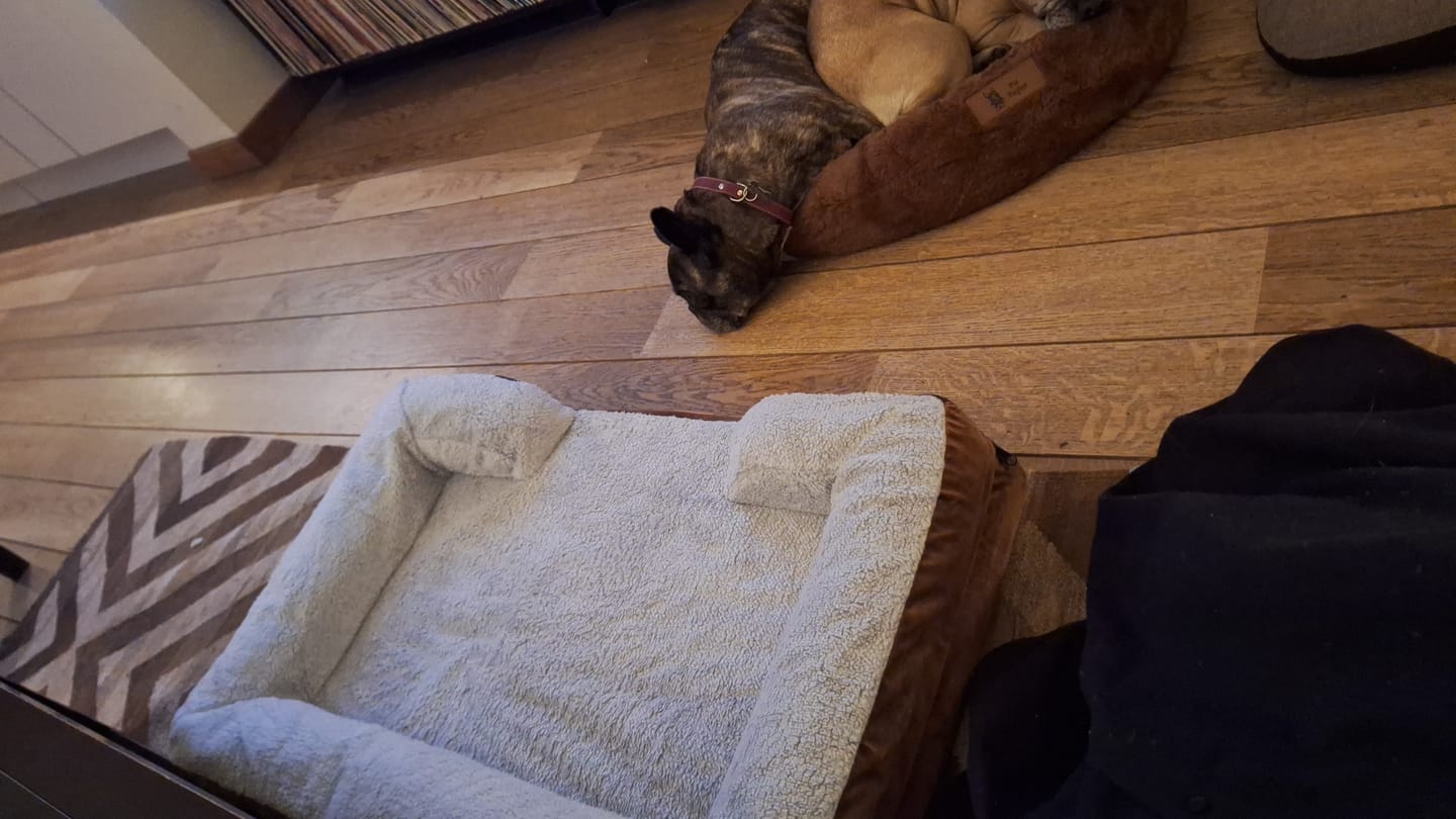 Customer photo review of Pet Perfect Hondenmand - Orthopedisch - Afritsbaar - Bruin