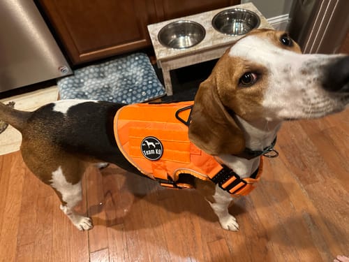 Customer photo review of NEW Upgraded Tactical No-Pull Team K9™ Dog Harness with 4 Quick-Release Metal Buckles, Reinforced Front & Back D-Rings, Hook & Loop Panels, Adjustable Straps, Reflective Strips, & Top Handle