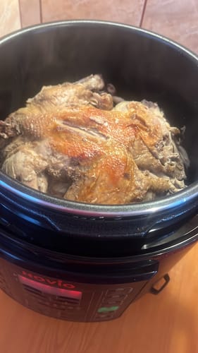 Customer photo review of Multicooker Novio EasyCook