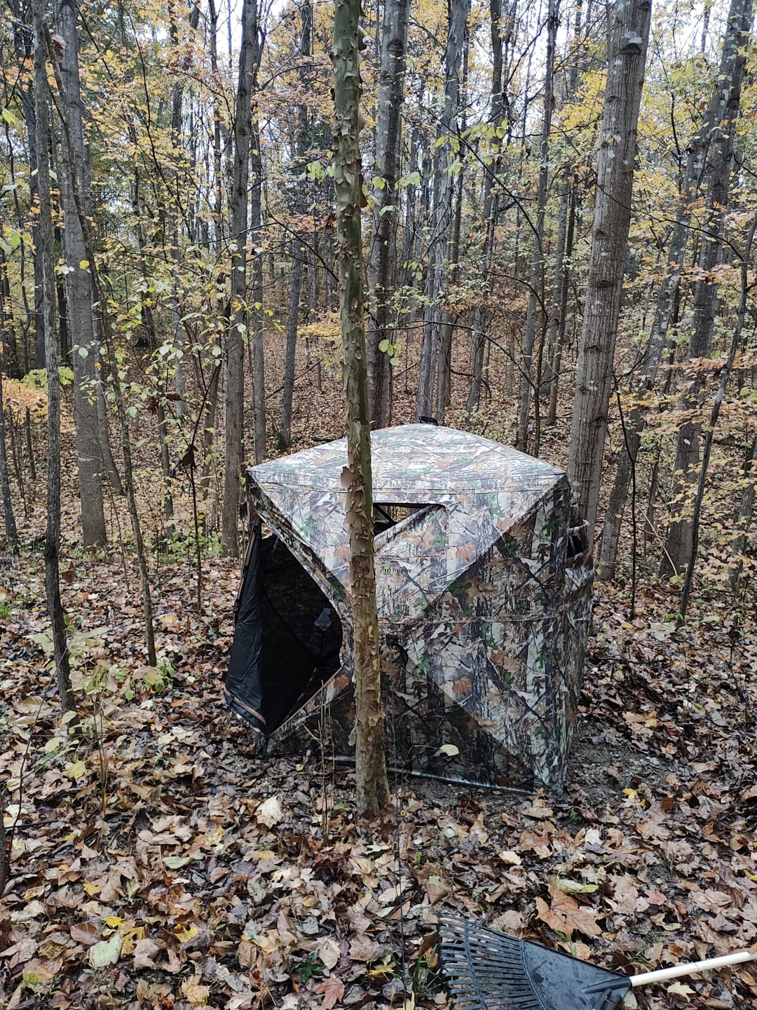 Customer photo review of Vis Series See Through Hunting Blind, Pop Up Ground Deer Blind