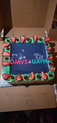 Customer photo review of 25cm x 25cm Square Custom Edible Icing Image