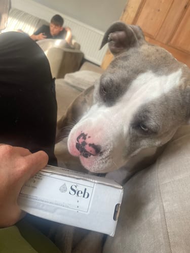 Customer photo review of Seb Natural Calming Serum