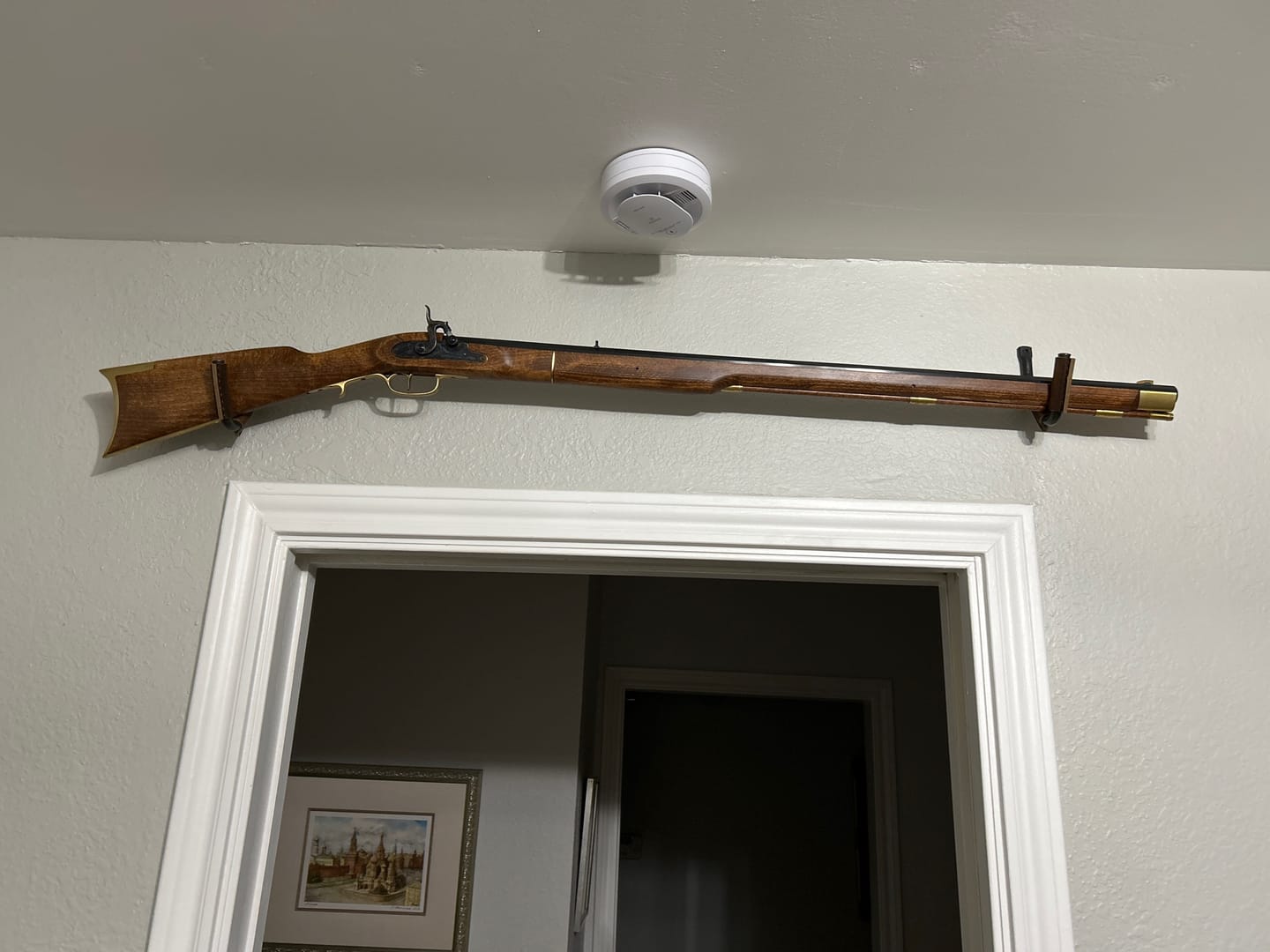 Customer photo review of Gun Hooks
