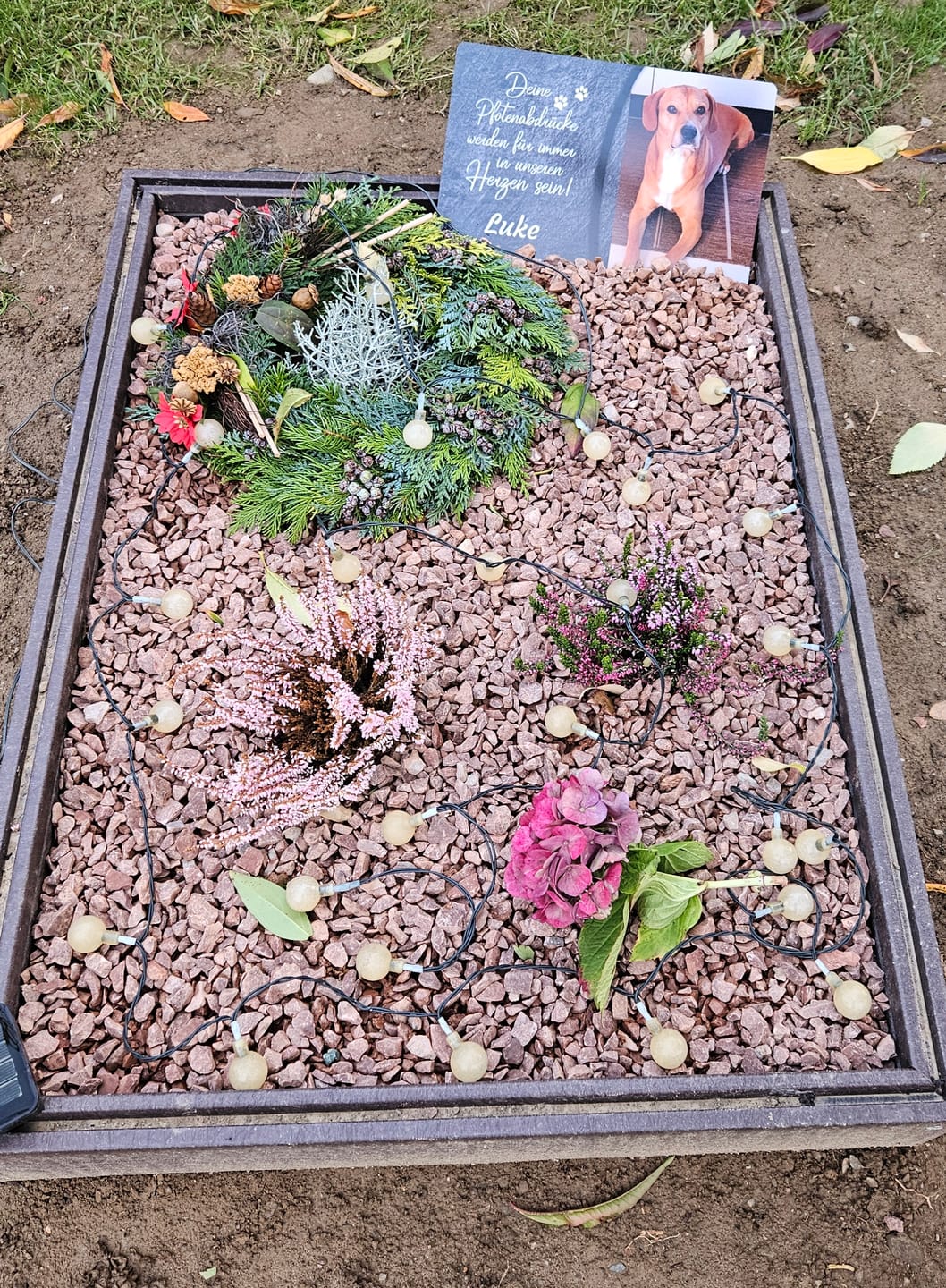 Customer photo review of Hunde Gedenktafel mit Foto & Spruch (UV- & Wetterfest)