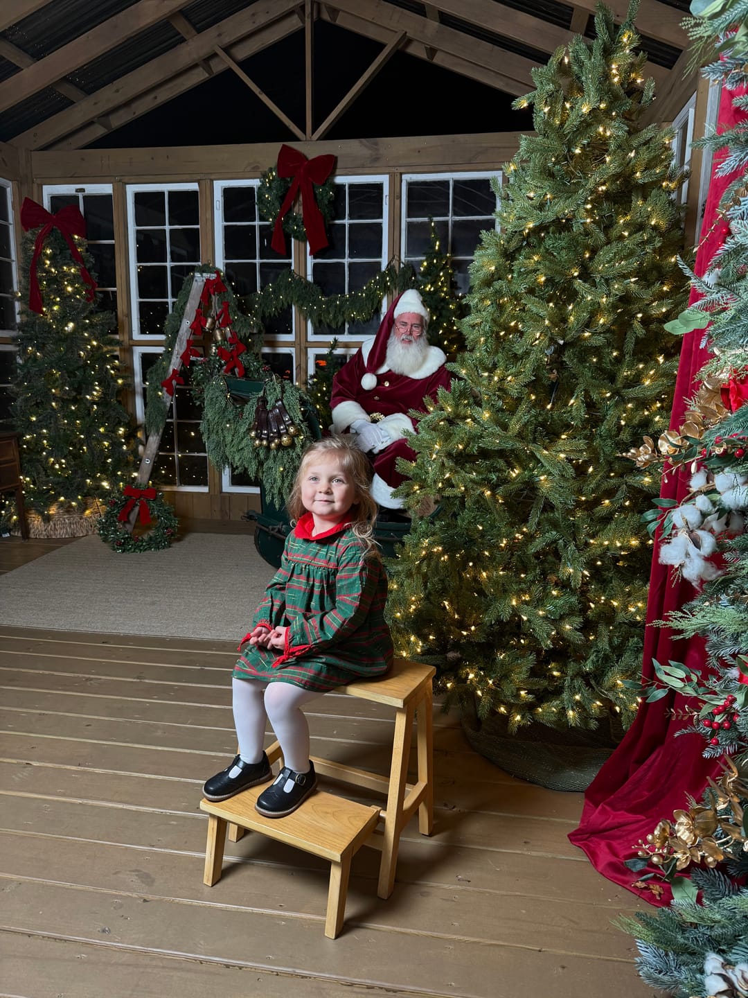 Customer photo review of Christmas Green Plaid Lillian Dress