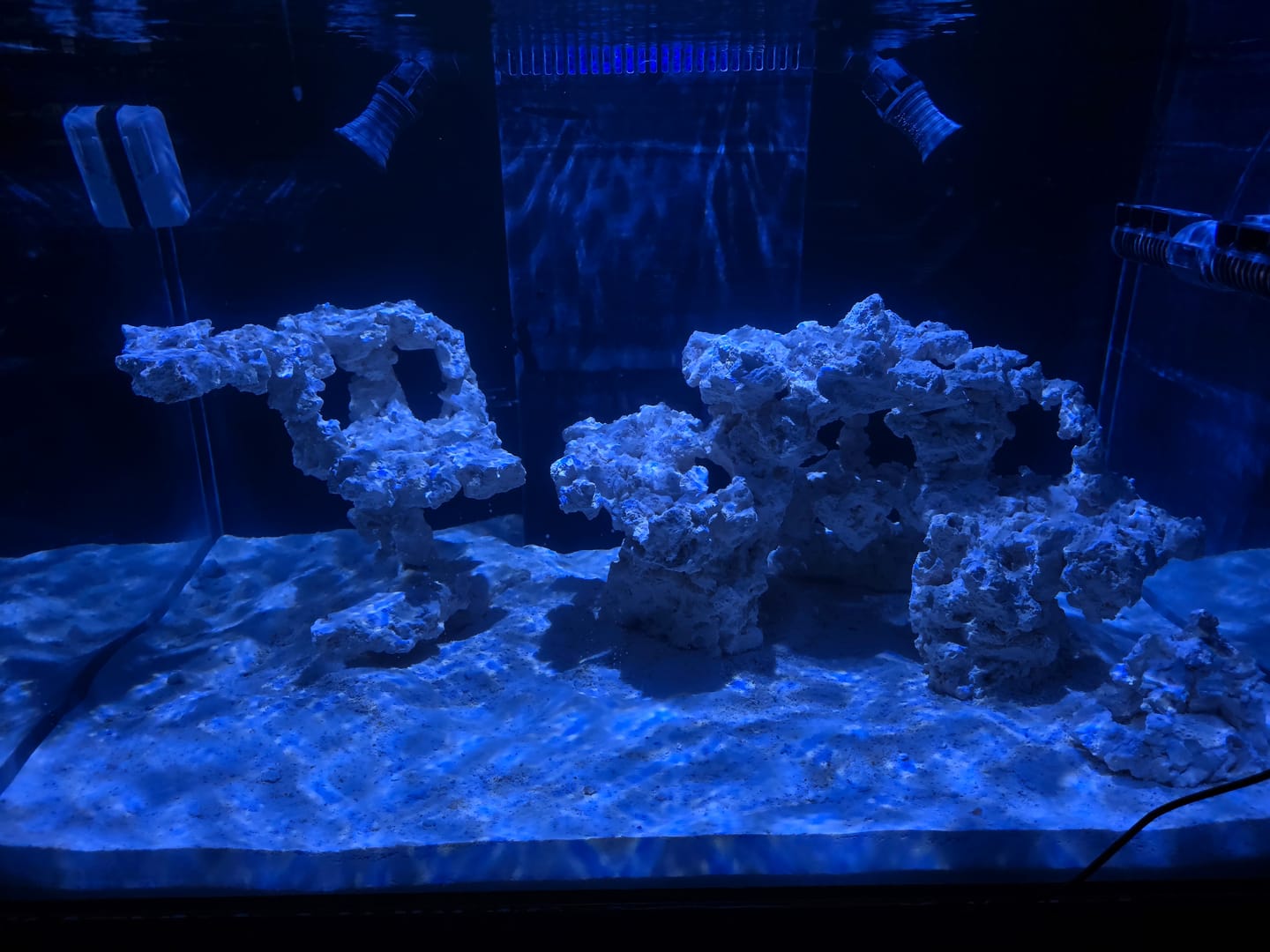 Customer photo review of Instant Hold Aquascaping Glue