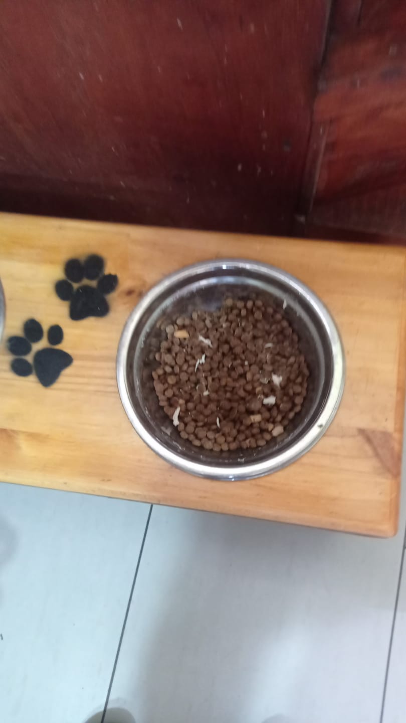 Customer photo review of Vaso Medidor PetFamily