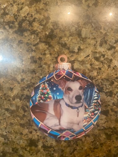 Customer photo review of Personalized Cat & Dog Christmas Ornaments With Photo Pets Make Our Lives Whole Home Holiday Decorations For Pet Lovers