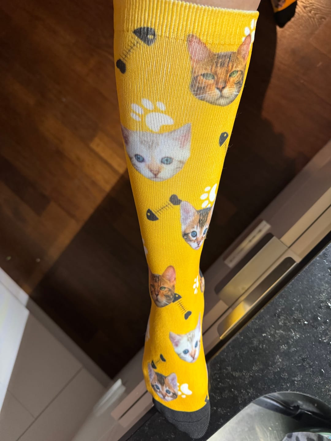 Customer photo review of FaceSock | Custom Cat Socks With Photo