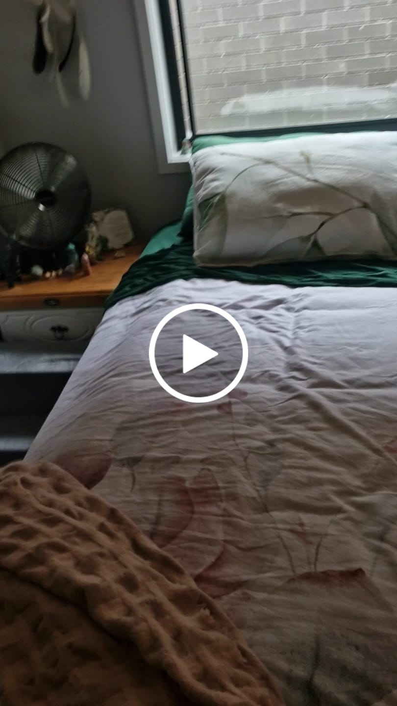 Customer video review of Detachable Pet Foam Stairs