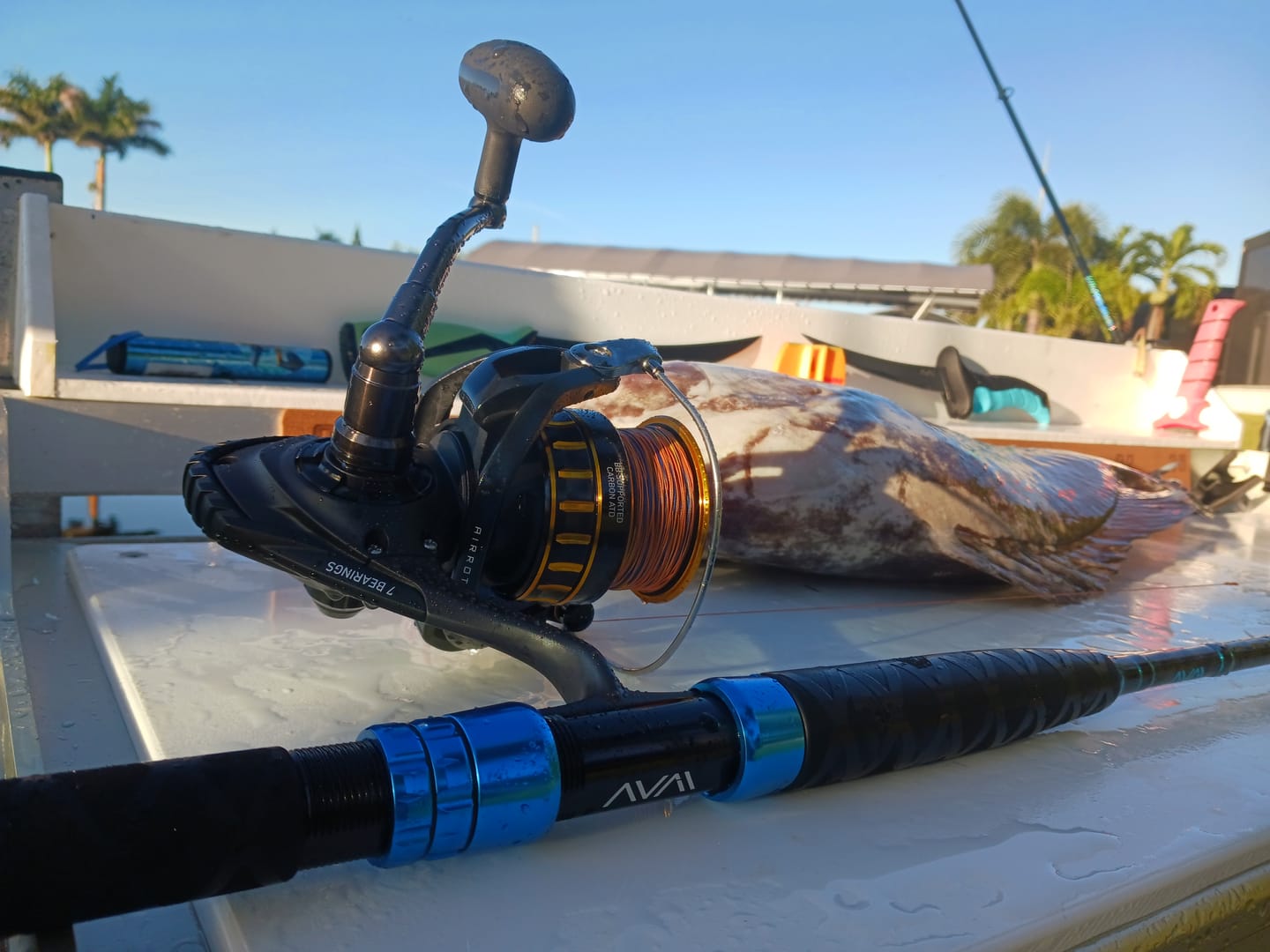 Customer photo review of Avail 7' Offshore Spinning Rods