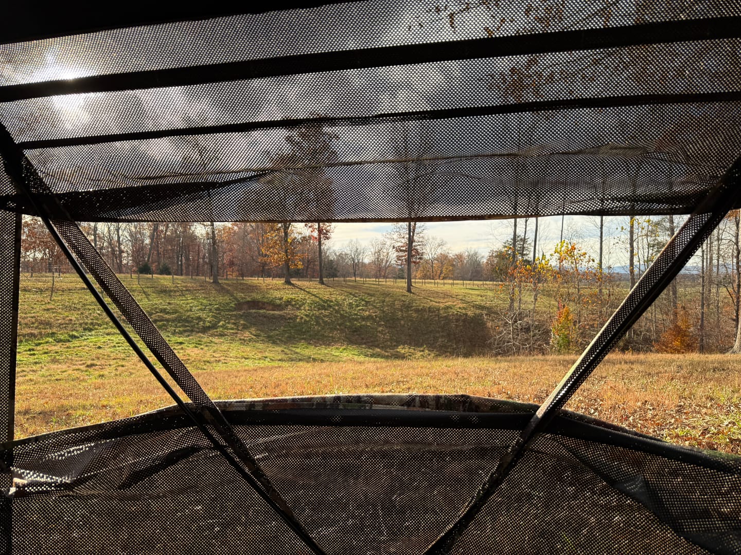 Customer photo review of VisFive360 See Through Ground Blind | 360° 5-Sided Pop Up Portable Deer Hunting Blind for 4-5 Person Hunters