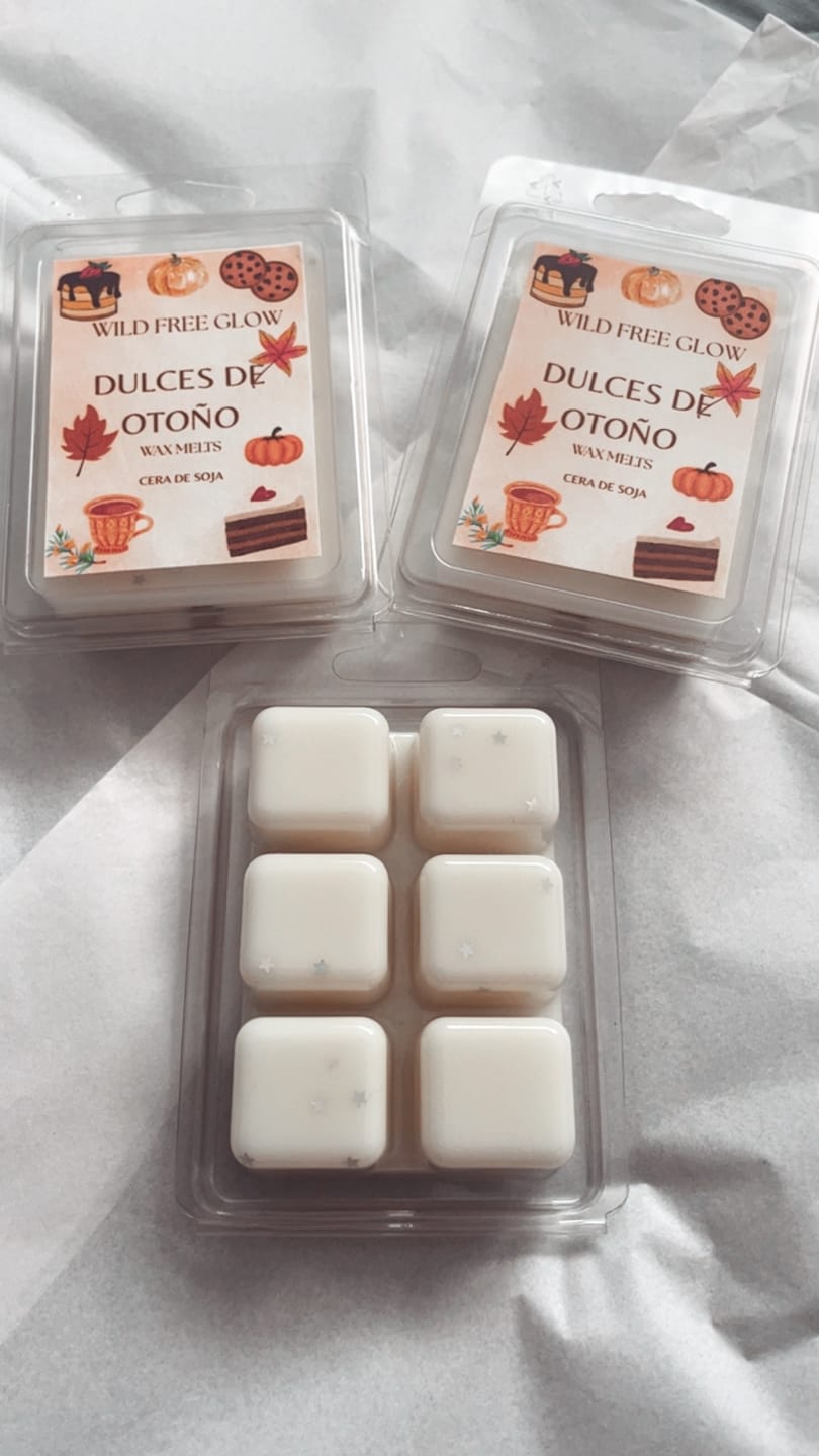Customer photo review of Blister para Wax-melts