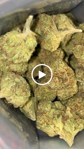 Customer video review of Master Kush - 28 Grams - Indica